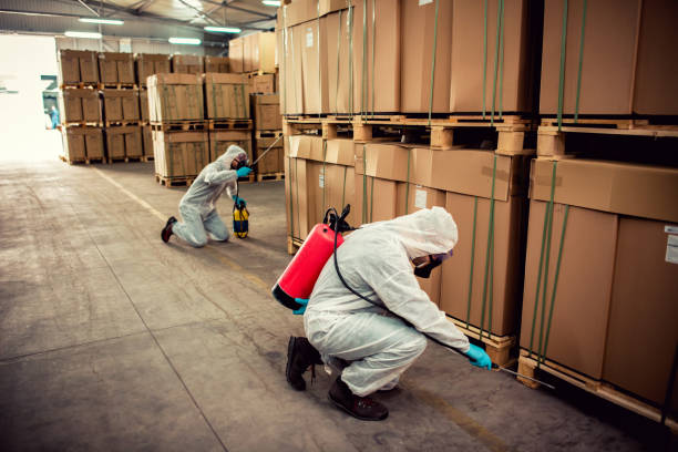Best Affordable Pest Control Services  in Lake Mawk, OH