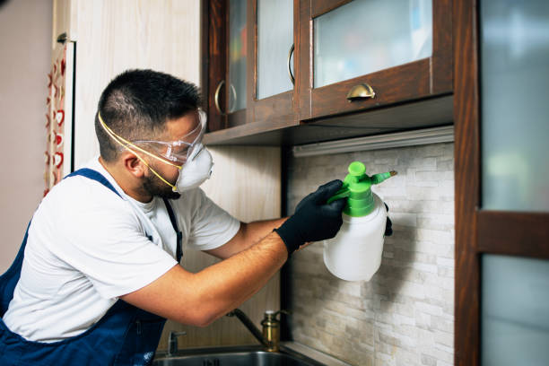 Best Bed Bug Extermination  in Lake Mawk, OH