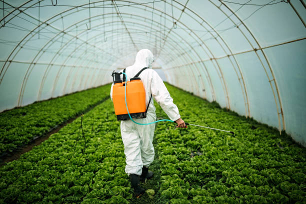Best Pest Control for Restaurants  in Lake Mawk, OH