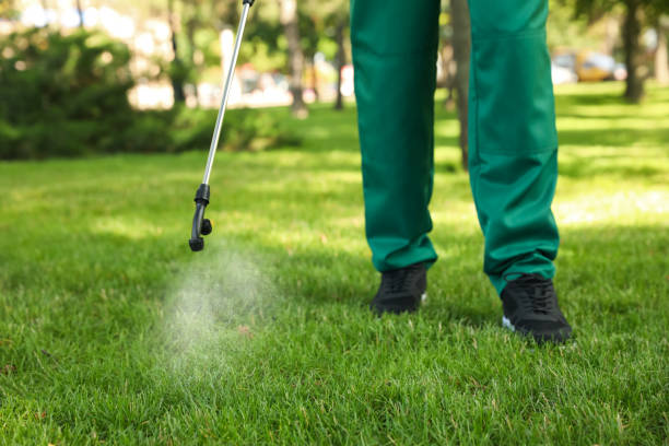 Best Mosquito Control Services  in Lake Mawk, OH