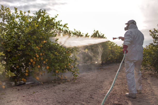 Pest Prevention Services in Lake Mohawk, OH