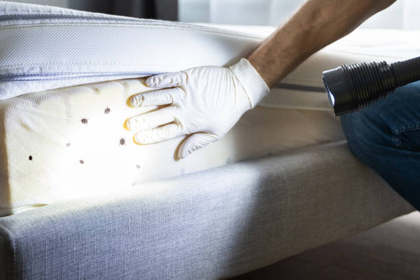 Best Pest Control Near Me  in Lake Mawk, OH